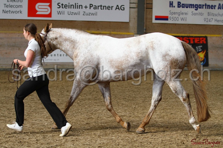 24-ApHC HIH_025.jpg